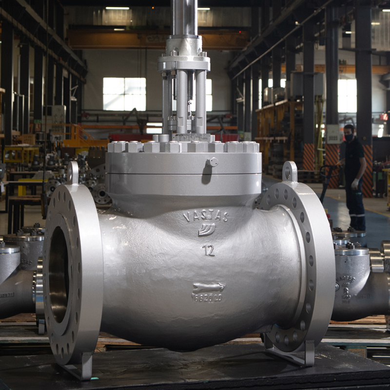 Globe Valve