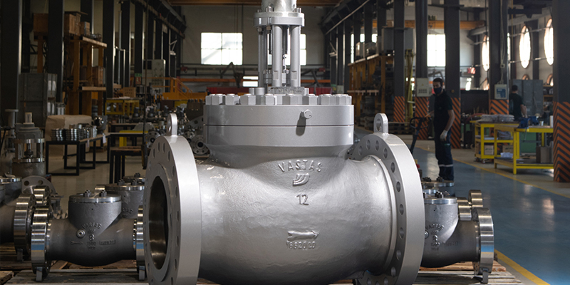 Globe Valve