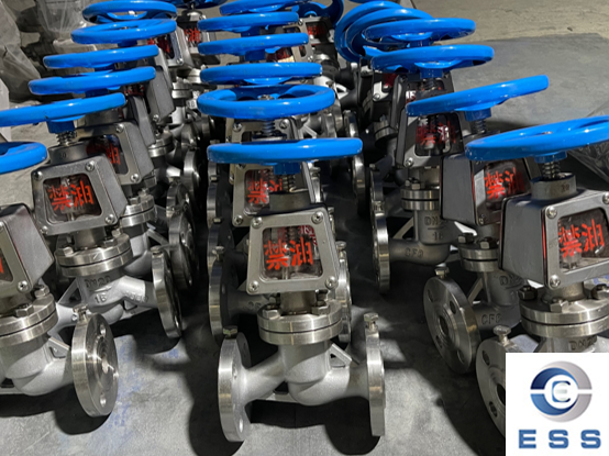 Why Should The Globe Valve Be Low in And High Out?