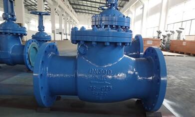 Casting Check Valve