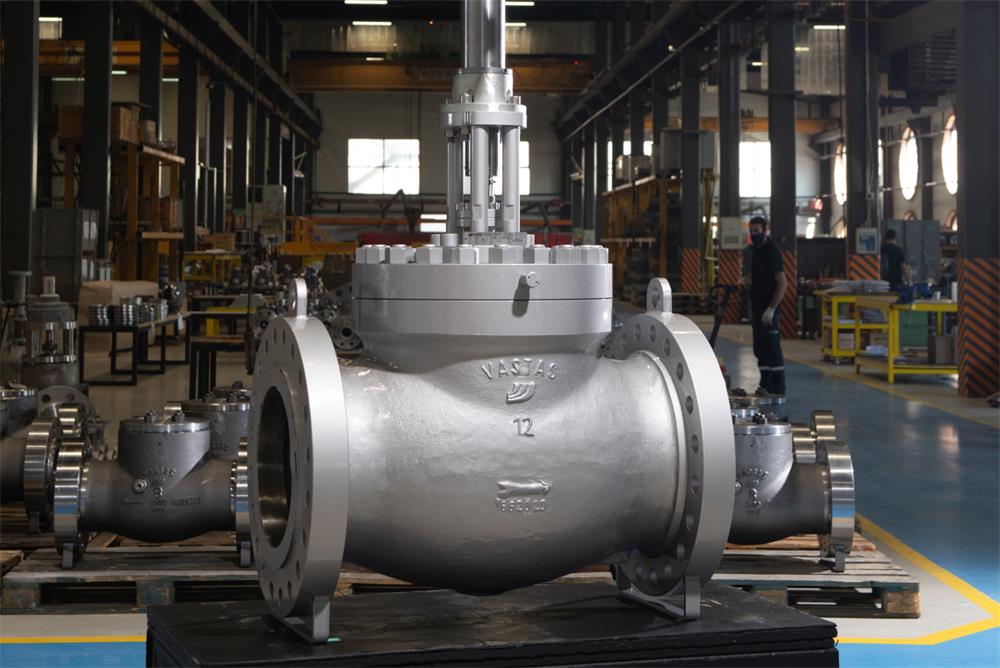 Globe Valve