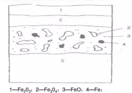 The composition and structure of iron oxide scale