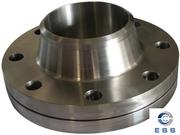 stainless steel flanges